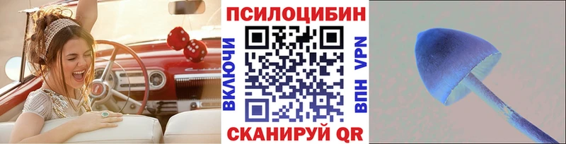 Псилоцибиновые грибы мицелий  Купить закладки  Отрадное 