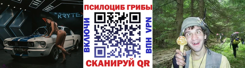 Псилоцибиновые грибы Cubensis Отрадное