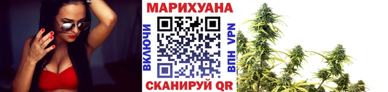 МАРИХУАНА план  Купить где  Отрадное 